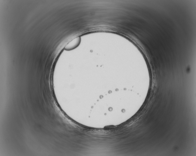 X0000115121293200912081336