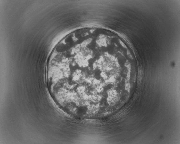 X0000115121295200912081336