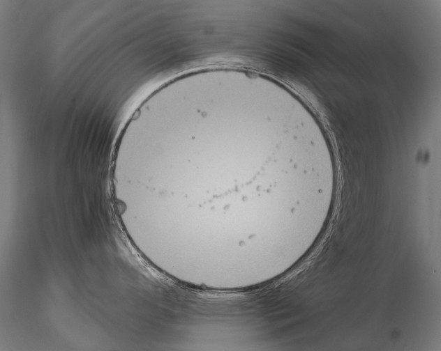 X0000115121296200912081336