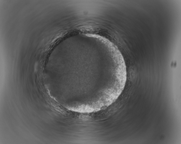 X0000115121297200912081335