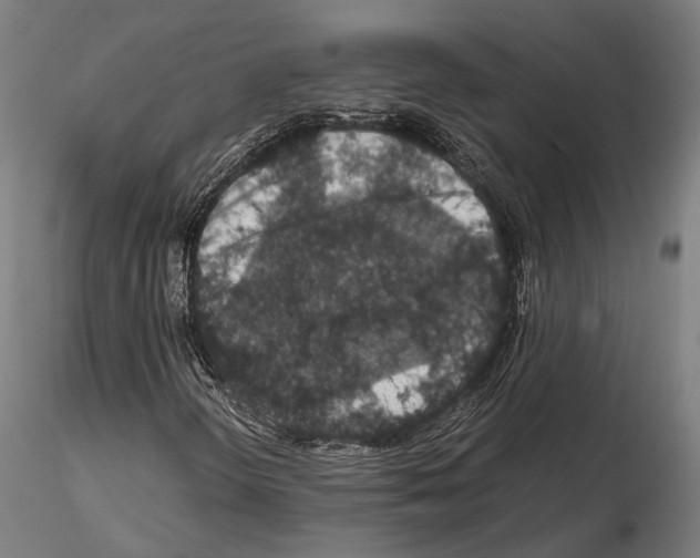 X0000115121298200912081335