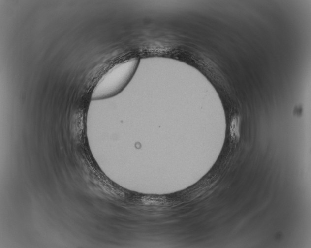 X0000115121299200912081335