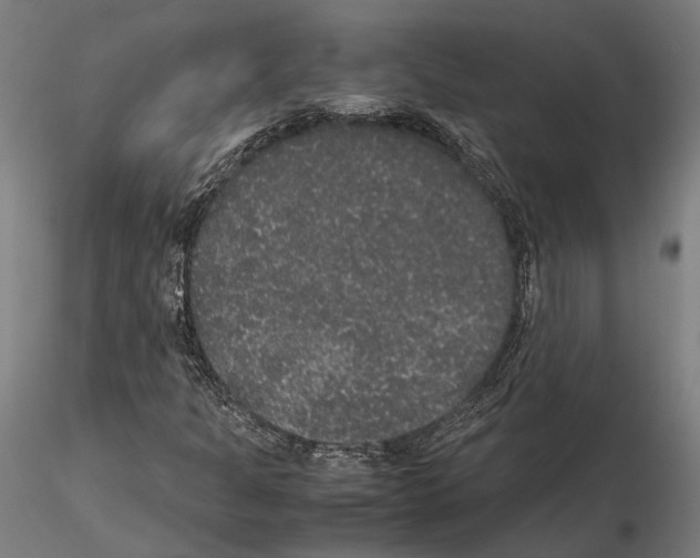 X0000115121301200912081335