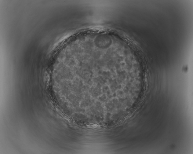 X0000115121302200912081335