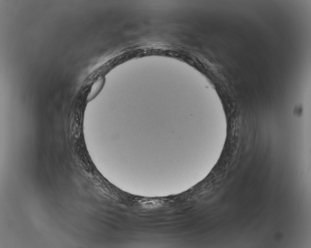 X0000115121303200912081335