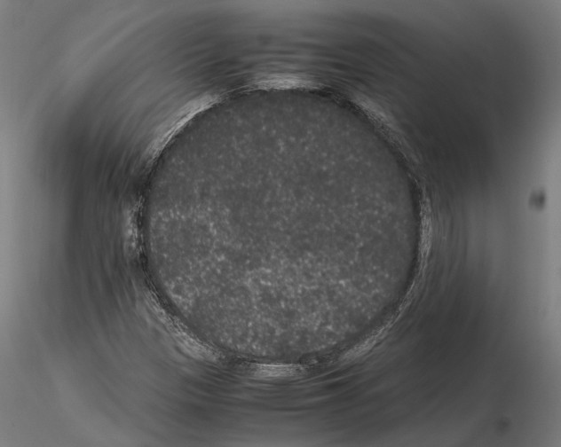 X0000115121305200912081335