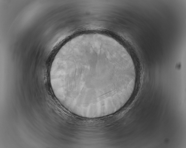 X0000115121306200912081335