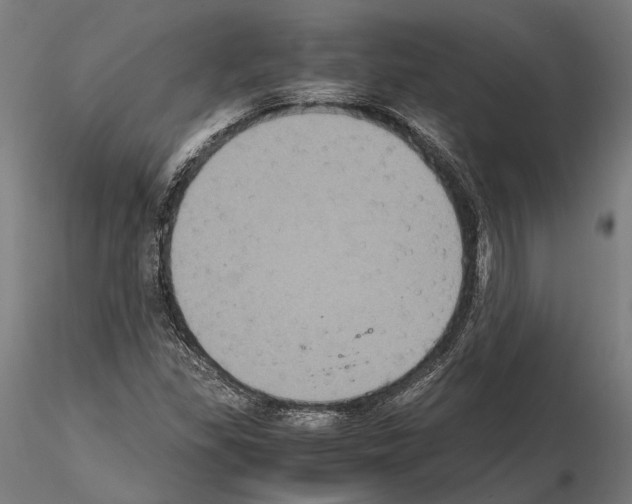 X0000115121309200912081335