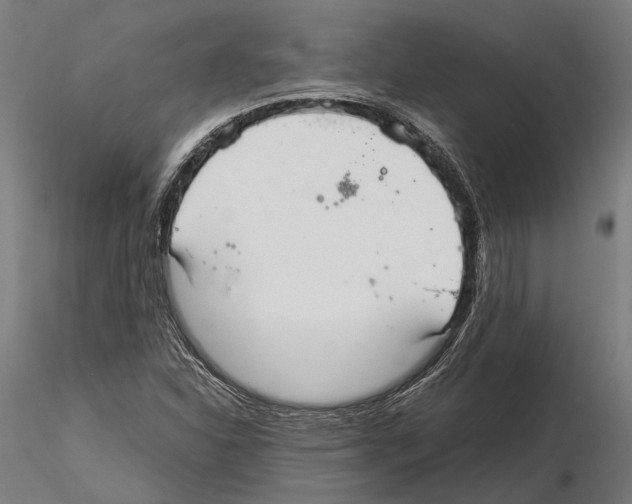 X0000115121310200912081335