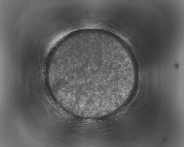 X0000115121311200912081335