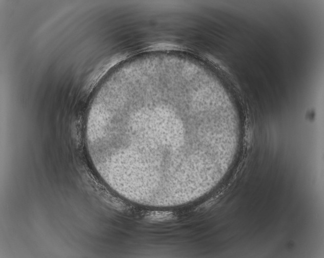 X0000115121313200912081335