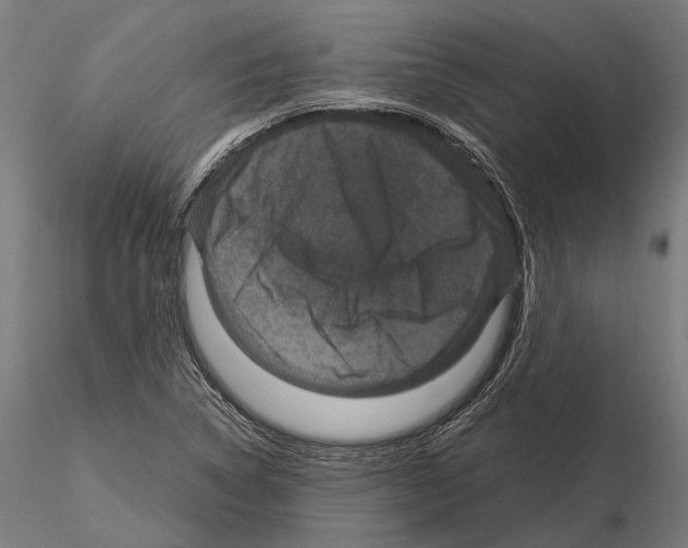 X0000115121314200912081335