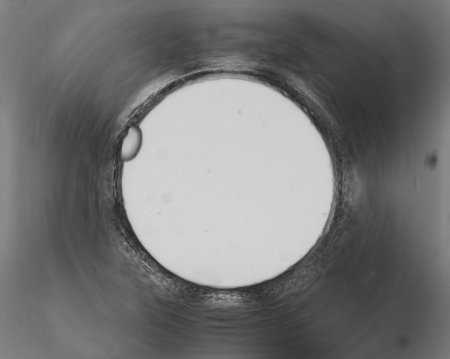 X0000115121315200912081335