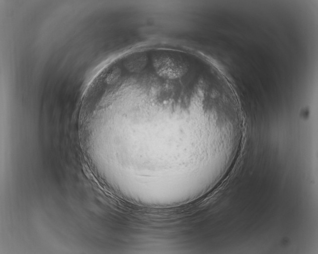 X0000115121318200912081335