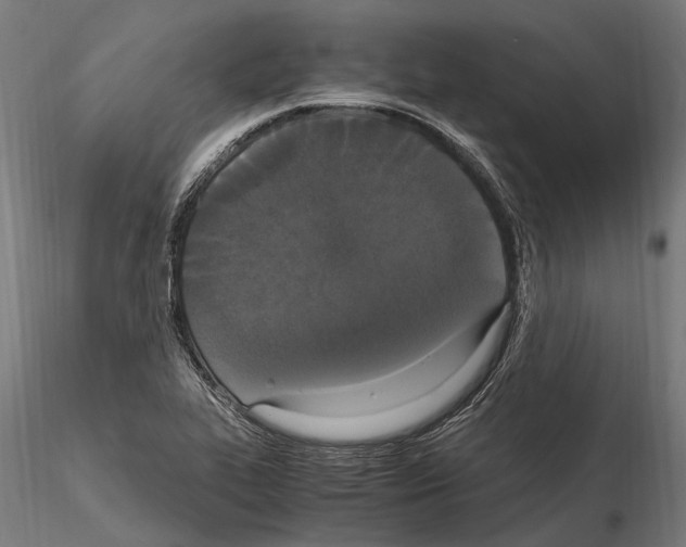 X0000115121319200912081336