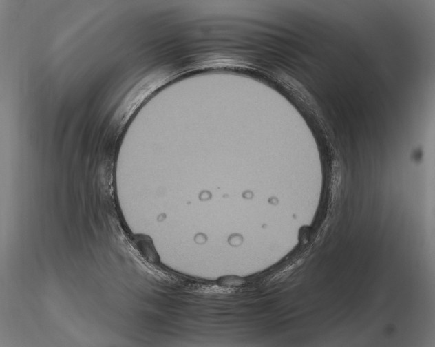 X0000115121321200912081336