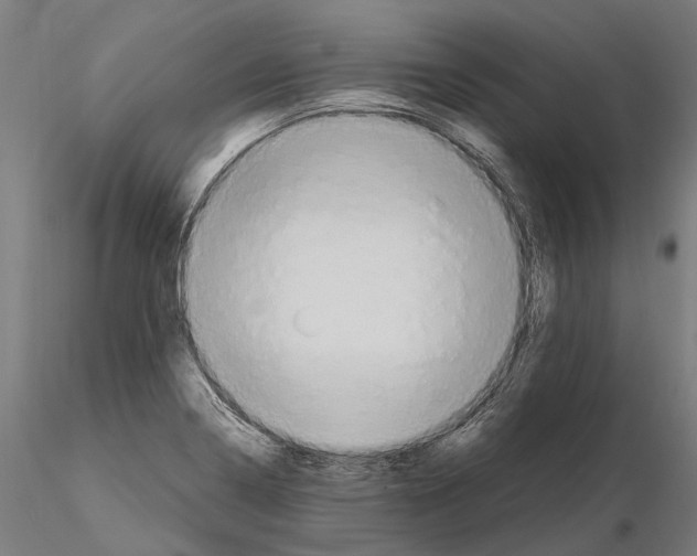 X0000115121322200912081336