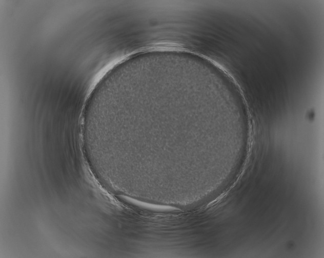 X0000115121325200912081336