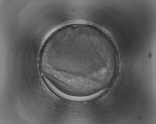 X0000115121326200912081336