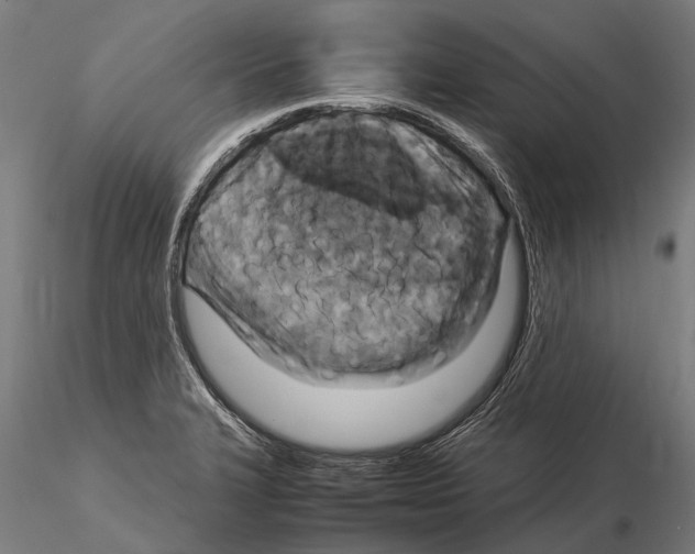 X0000115121327200912081336