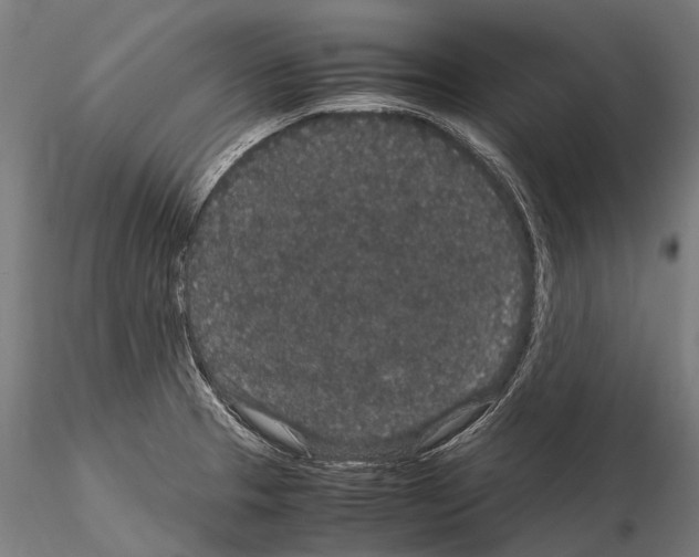 X0000115121329200912081336