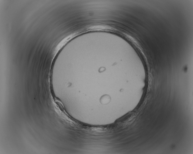 X0000115121330200912081336