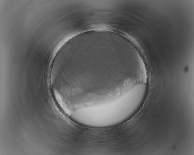 X0000115121331200912081336