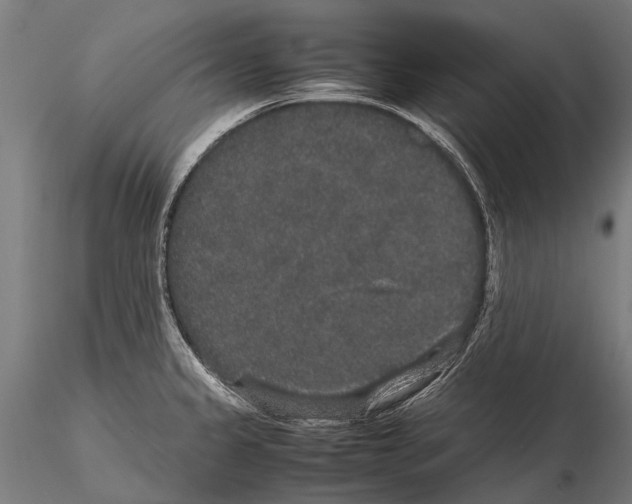 X0000115121333200912081336