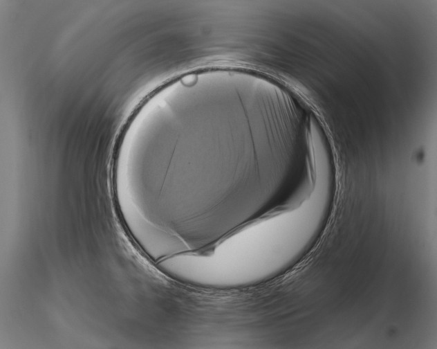 X0000115121334200912081336