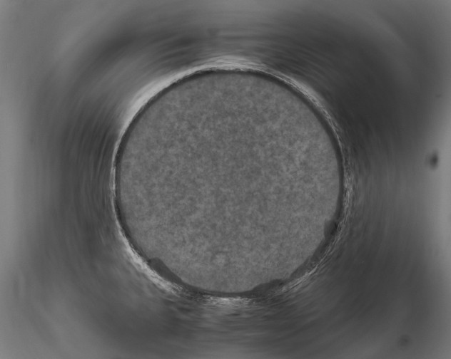 X0000115121335200912081336