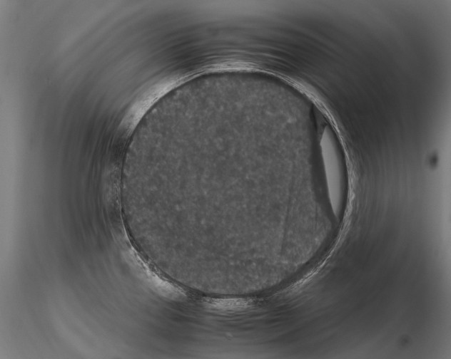 X0000115121337200912081336