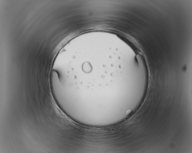 X0000115121338200912081336