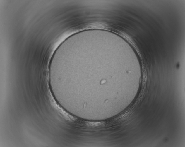 X0000115121339200912081336