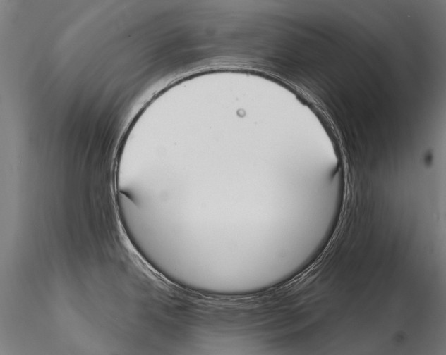 X0000115121342200912081336