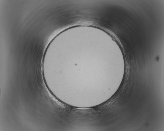 X0000115121343200912081336