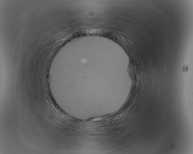 X0000115121345200912081335