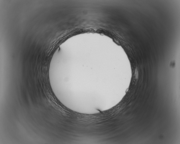 X0000115121348200912081335