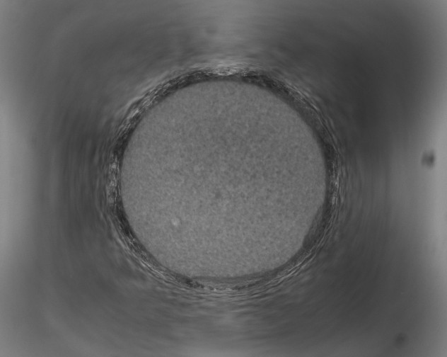 X0000115121349200912081335