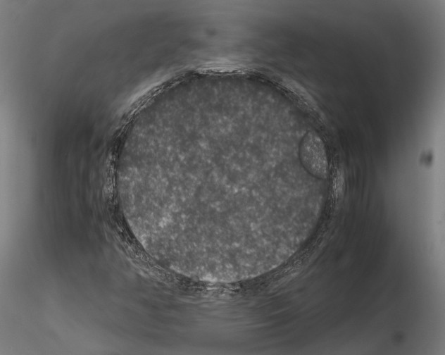 X0000115121350200912081335