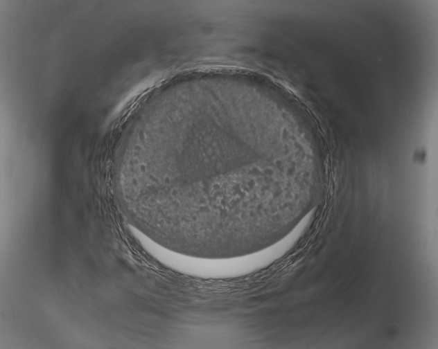 X0000115121351200912081335