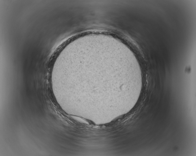 X0000115121352200912081335