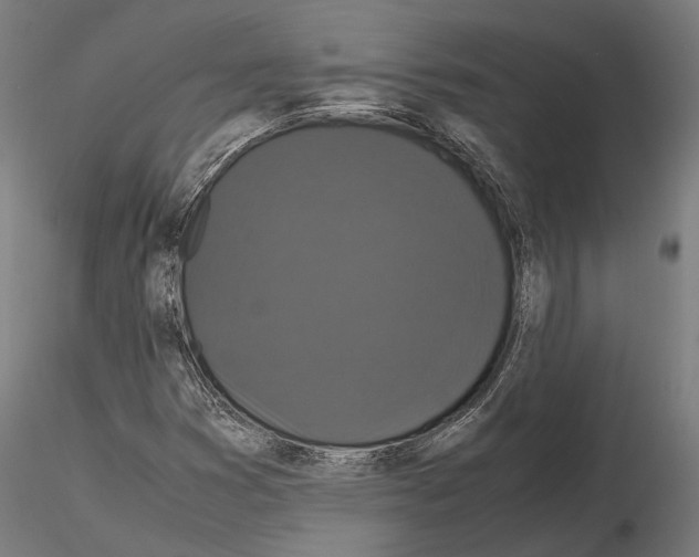 X0000115121353200912081335