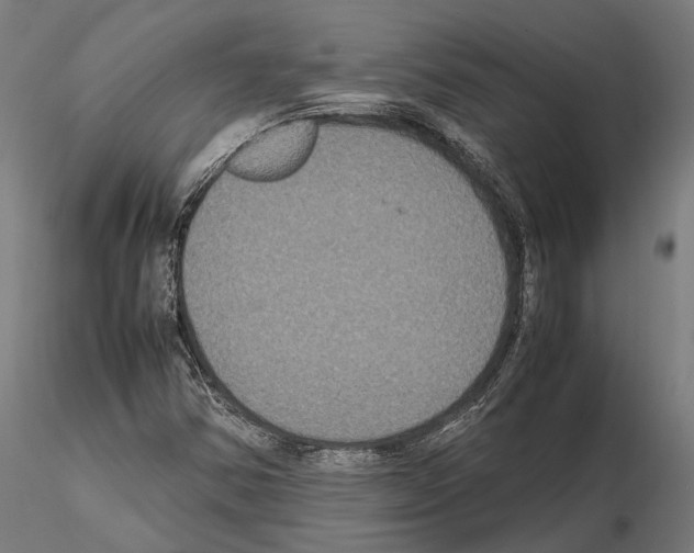 X0000115121354200912081335