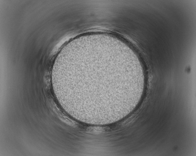 X0000115121355200912081335