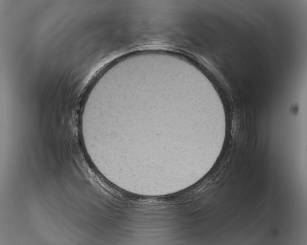 X0000115121356200912081335