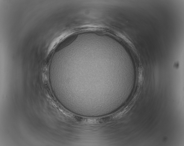 X0000115121357200912081335