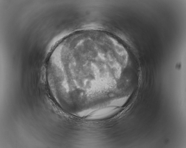 X0000115121358200912081335