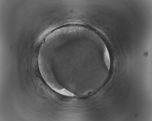 X0000115121359200912081335