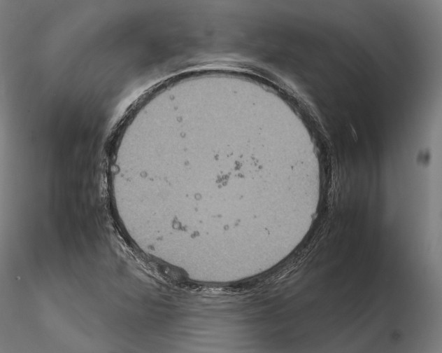 X0000115121360200912081335