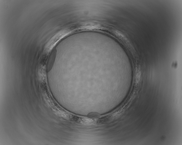 X0000115121361200912081335